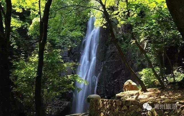 蝎子逃生之地