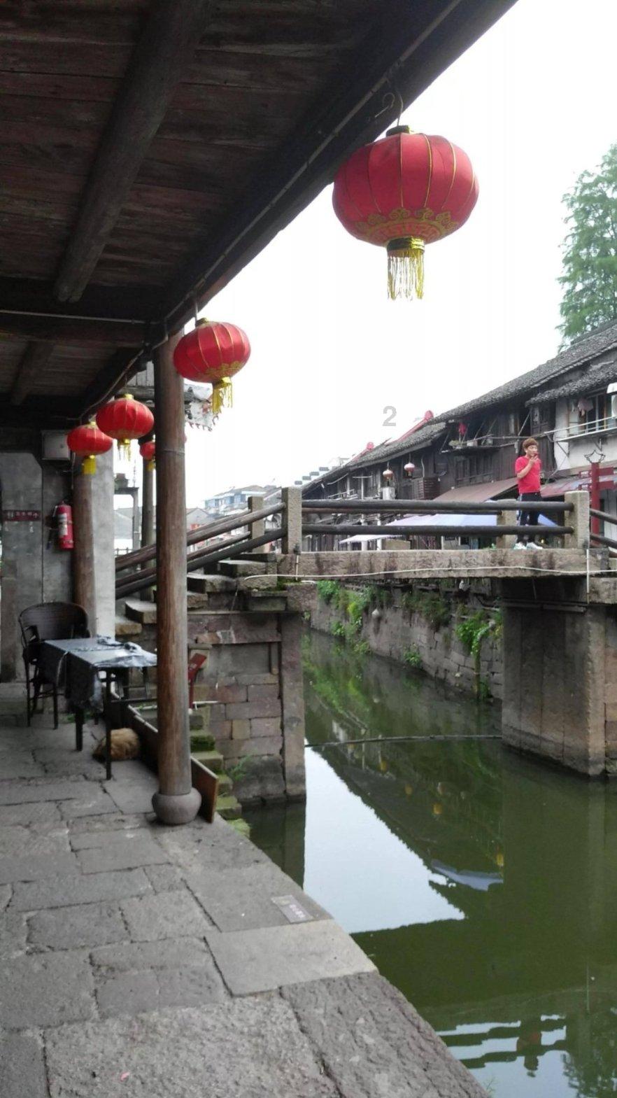动物帮帮忙保卫家园